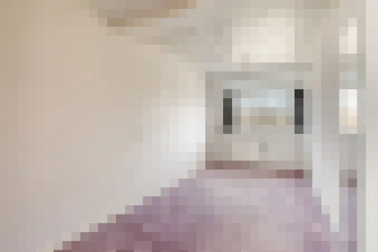 Derde Zeine 1 Waalwijk thumbnail 22