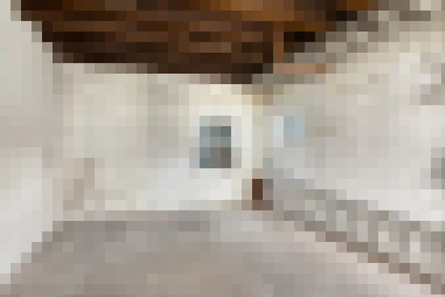 Derde Zeine 1 Waalwijk thumbnail 27