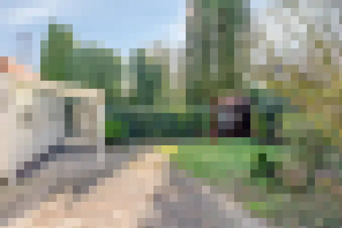 Derde Zeine 1 Waalwijk thumbnail 30