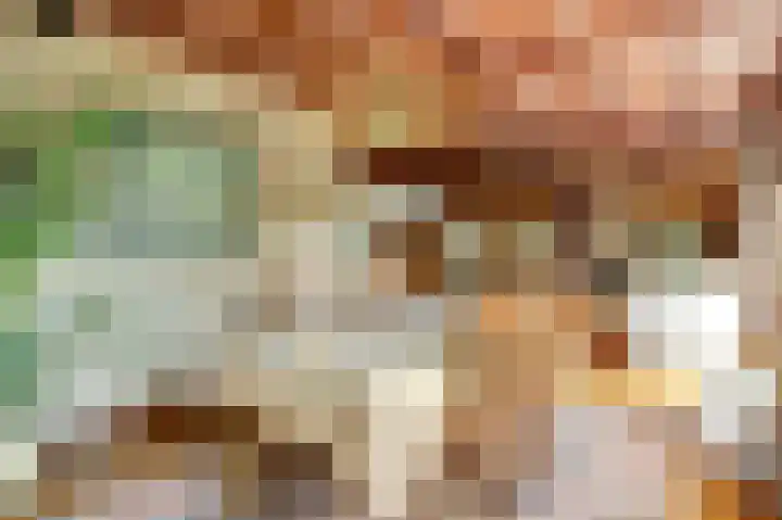 Derde Zeine 17 Waalwijk thumbnail 12