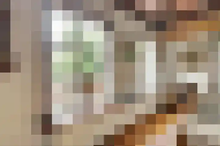 Derde Zeine 17 Waalwijk thumbnail 20