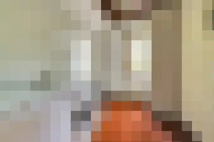 Derde Zeine 17 Waalwijk thumbnail 27