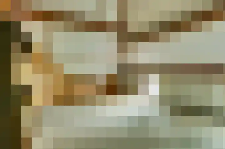 Derde Zeine 17 Waalwijk thumbnail 31