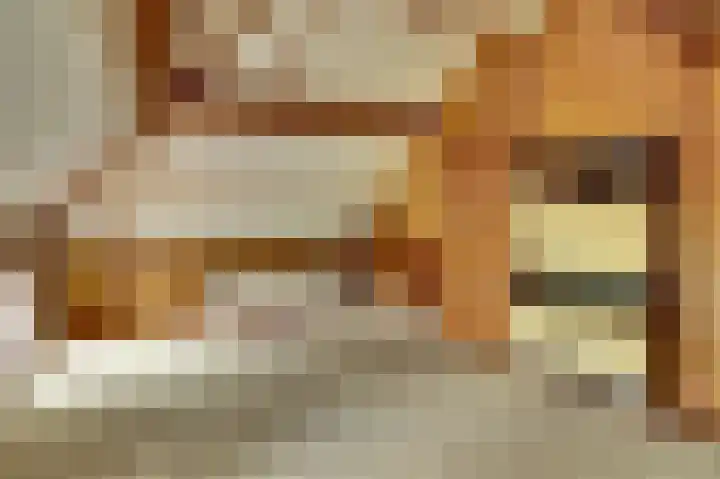 Derde Zeine 17 Waalwijk thumbnail 32