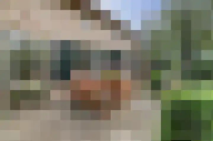 Derde Zeine 17 Waalwijk thumbnail 35