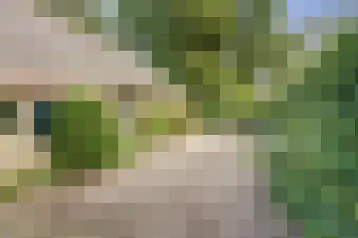 Derde Zeine 17 Waalwijk thumbnail 36