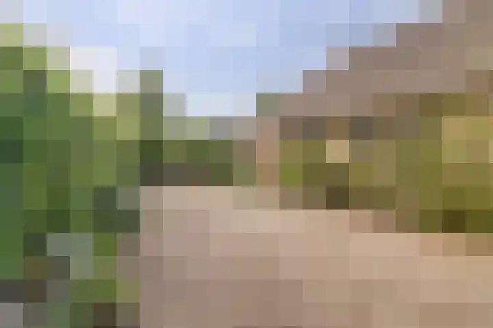 Derde Zeine 17 Waalwijk thumbnail 37