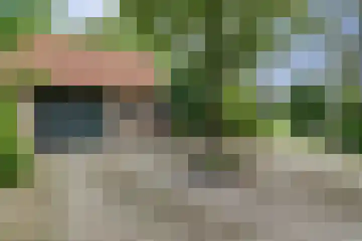 Derde Zeine 17 Waalwijk thumbnail 38