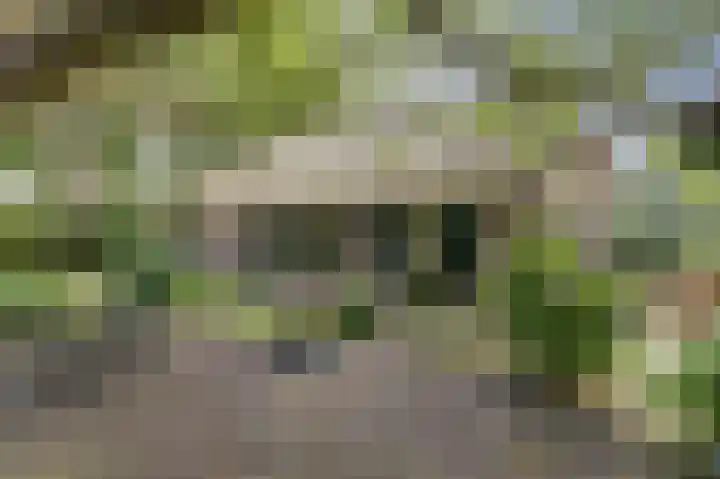 Derde Zeine 17 Waalwijk thumbnail 39