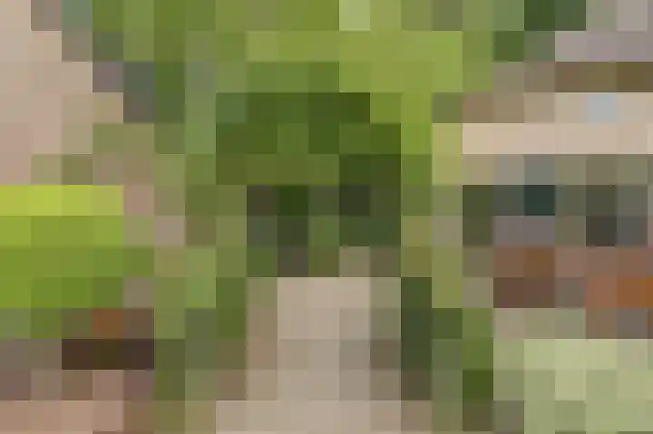 Derde Zeine 17 Waalwijk thumbnail 4