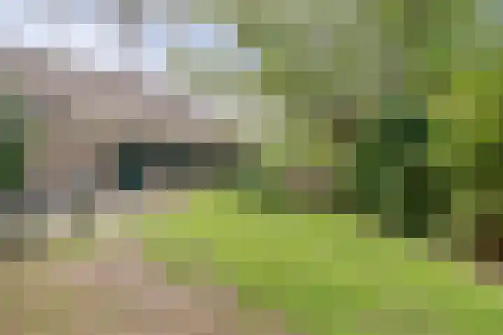 Derde Zeine 17 Waalwijk thumbnail 40
