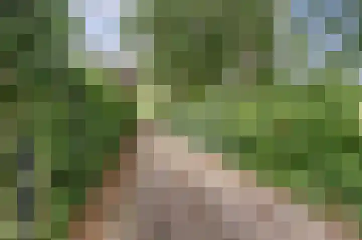 Derde Zeine 17 Waalwijk thumbnail 42