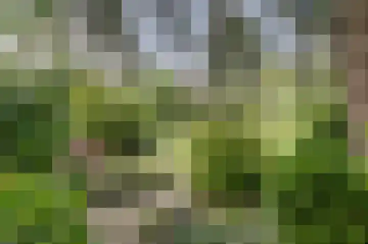 Derde Zeine 17 Waalwijk thumbnail 43