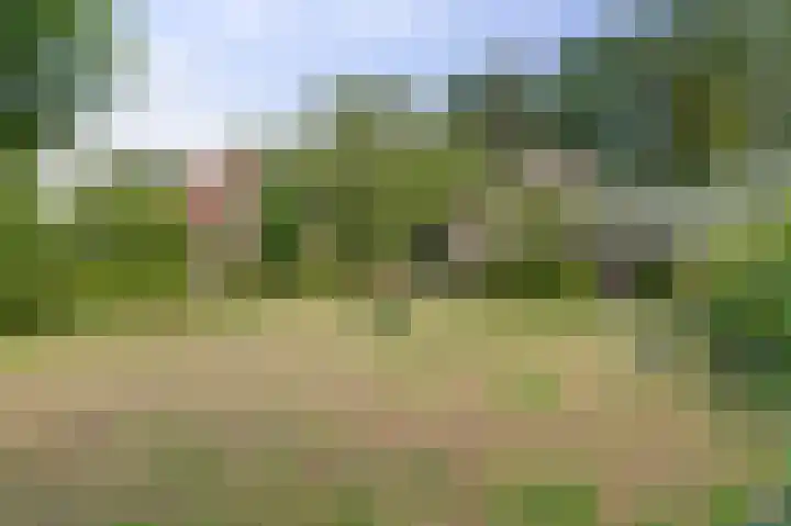 Derde Zeine 17 Waalwijk thumbnail 44