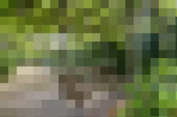 Derde Zeine 17 Waalwijk thumbnail 45