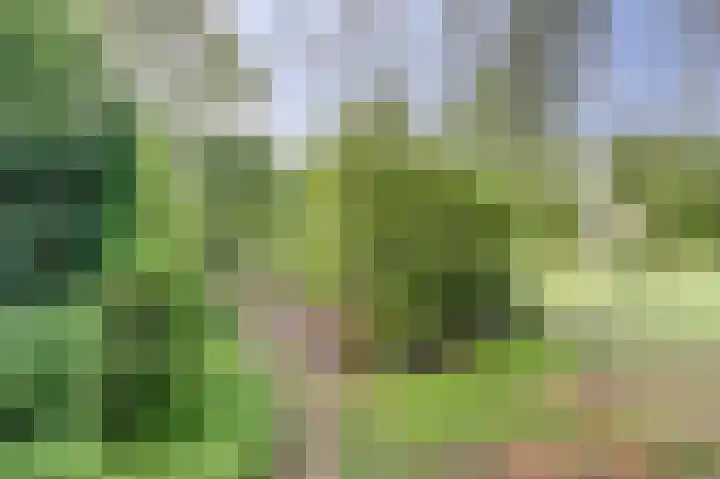 Derde Zeine 17 Waalwijk thumbnail 46