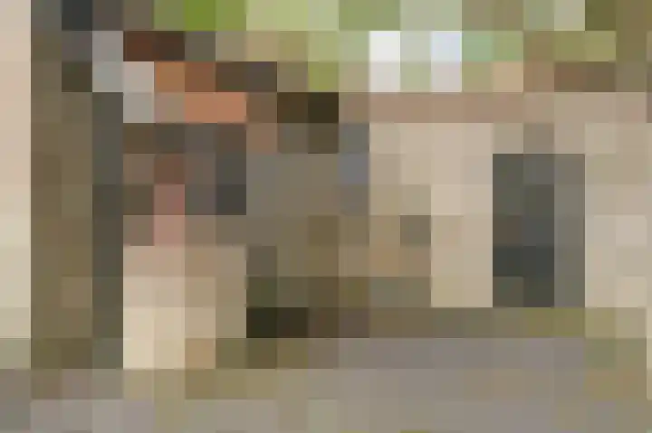 Derde Zeine 17 Waalwijk thumbnail 47