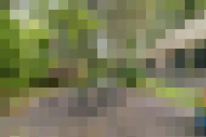 Derde Zeine 17 Waalwijk thumbnail 48