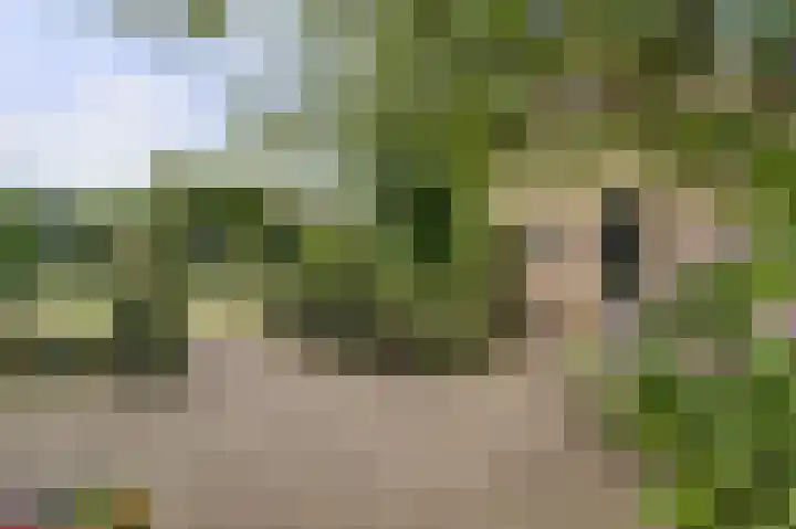 Derde Zeine 17 Waalwijk thumbnail 49