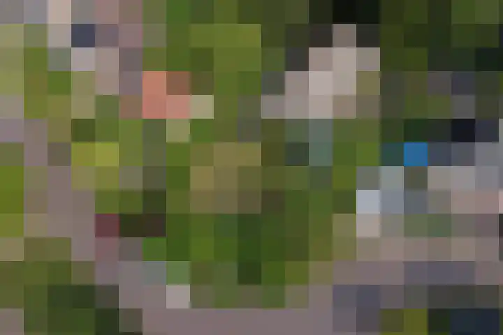 Derde Zeine 17 Waalwijk thumbnail 5
