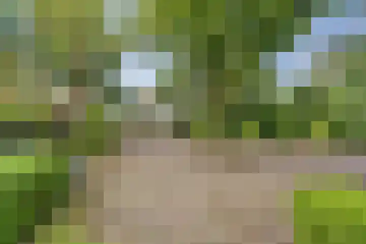 Derde Zeine 17 Waalwijk thumbnail 50