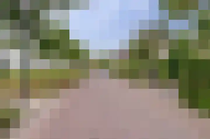 Derde Zeine 17 Waalwijk thumbnail 52