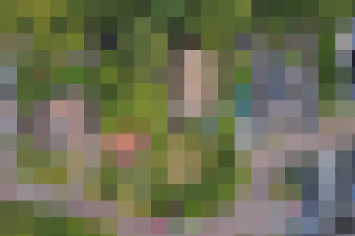 Derde Zeine 17 Waalwijk thumbnail 53