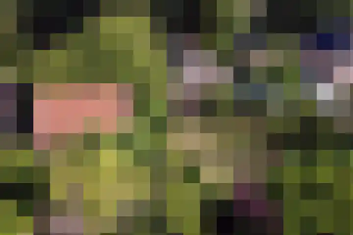 Derde Zeine 17 Waalwijk thumbnail 55