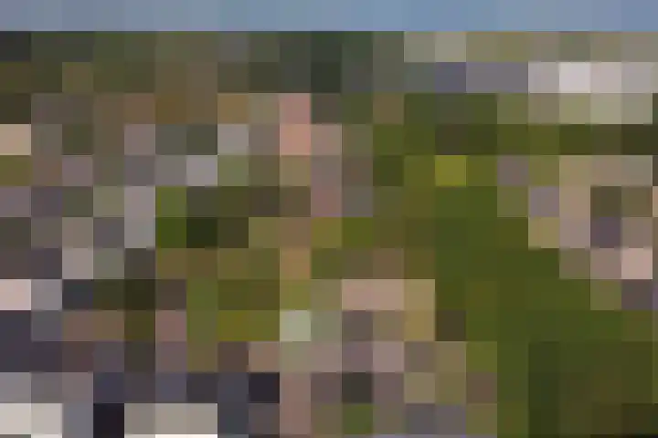 Derde Zeine 17 Waalwijk thumbnail 56