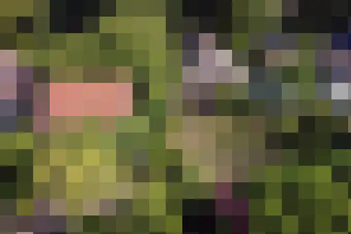 Derde Zeine 17 Waalwijk thumbnail 61
