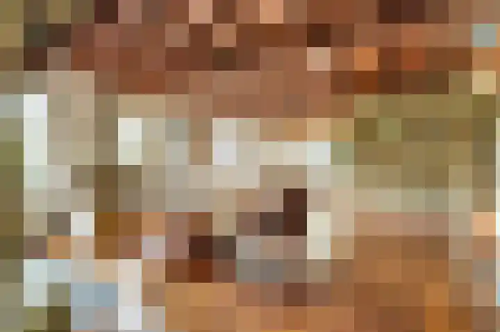 Derde Zeine 17 Waalwijk thumbnail 7