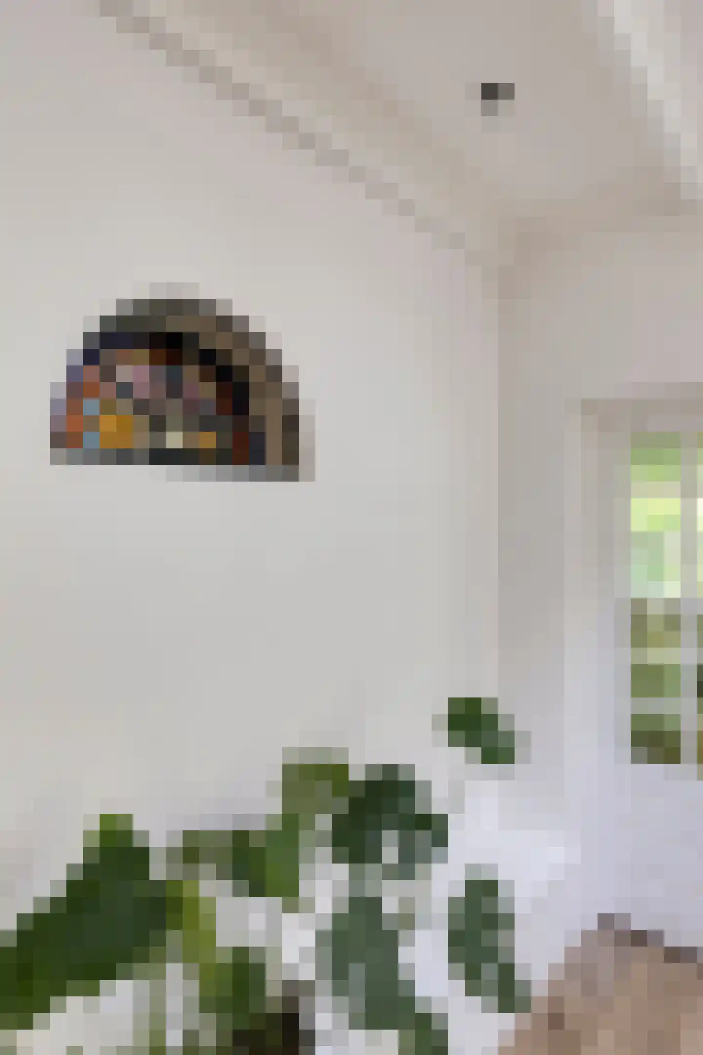 Dergmeerweg 57 Warmenhuizen thumbnail 11