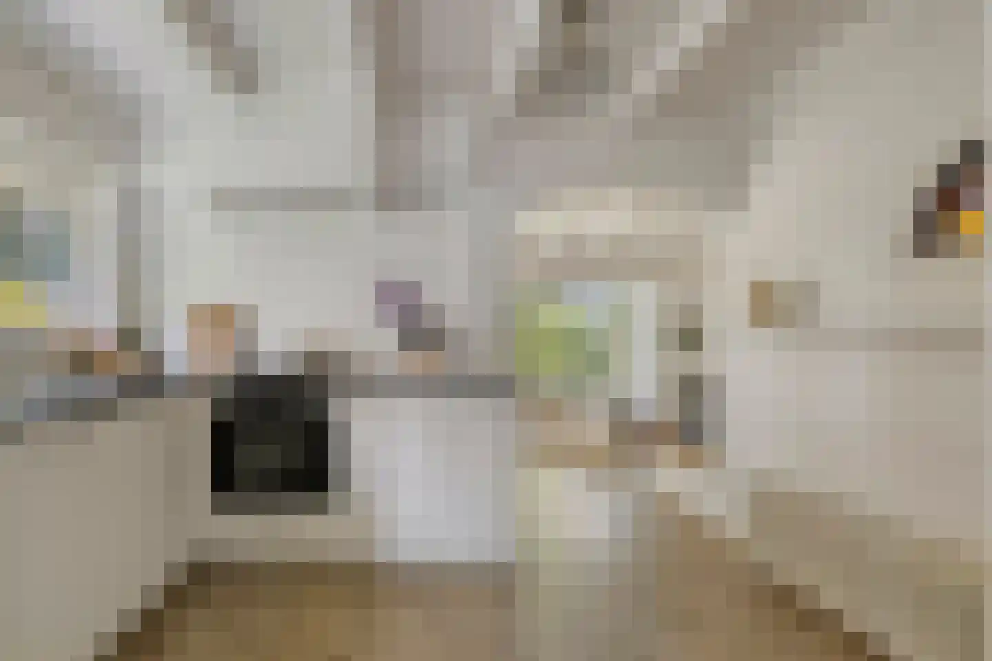 Dergmeerweg 57 Warmenhuizen thumbnail 21