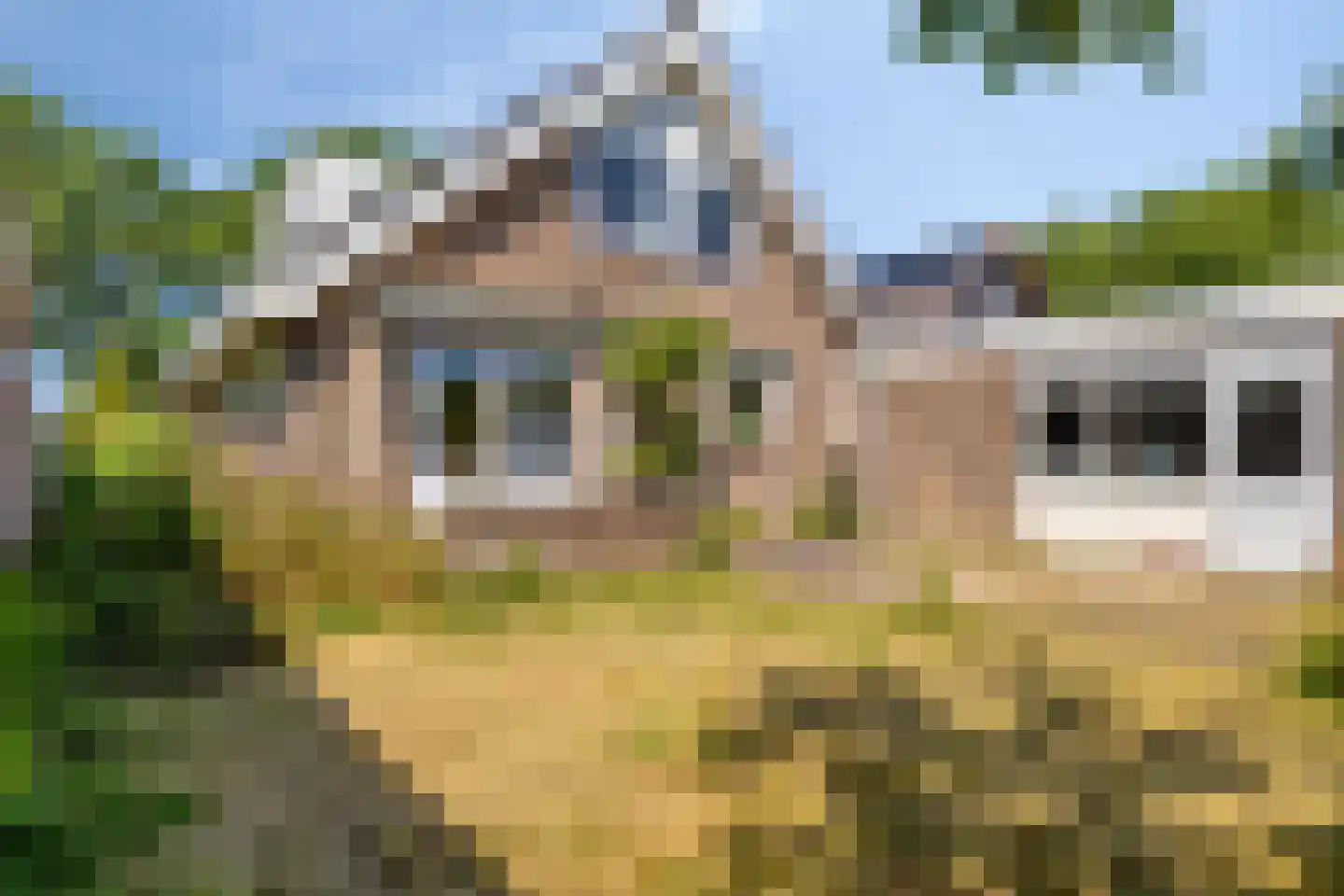 Dergmeerweg 57 Warmenhuizen thumbnail 30