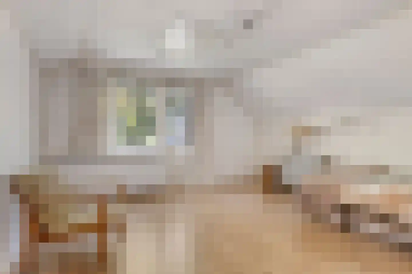 Dergmeerweg 57 Warmenhuizen thumbnail 36