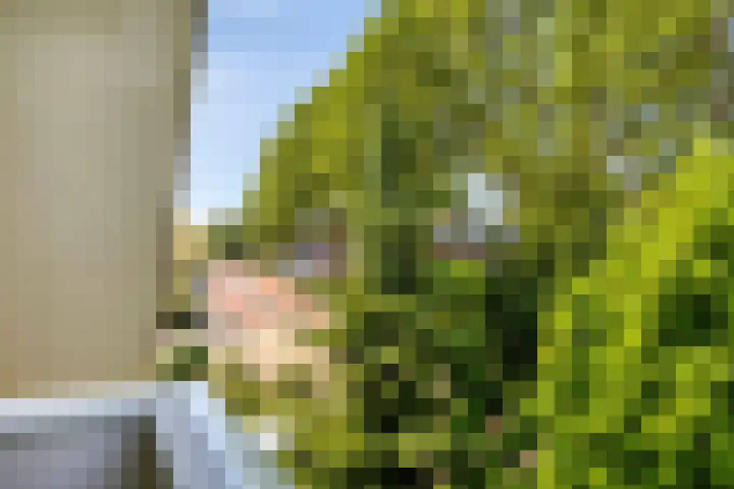 Dergmeerweg 57 Warmenhuizen thumbnail 38