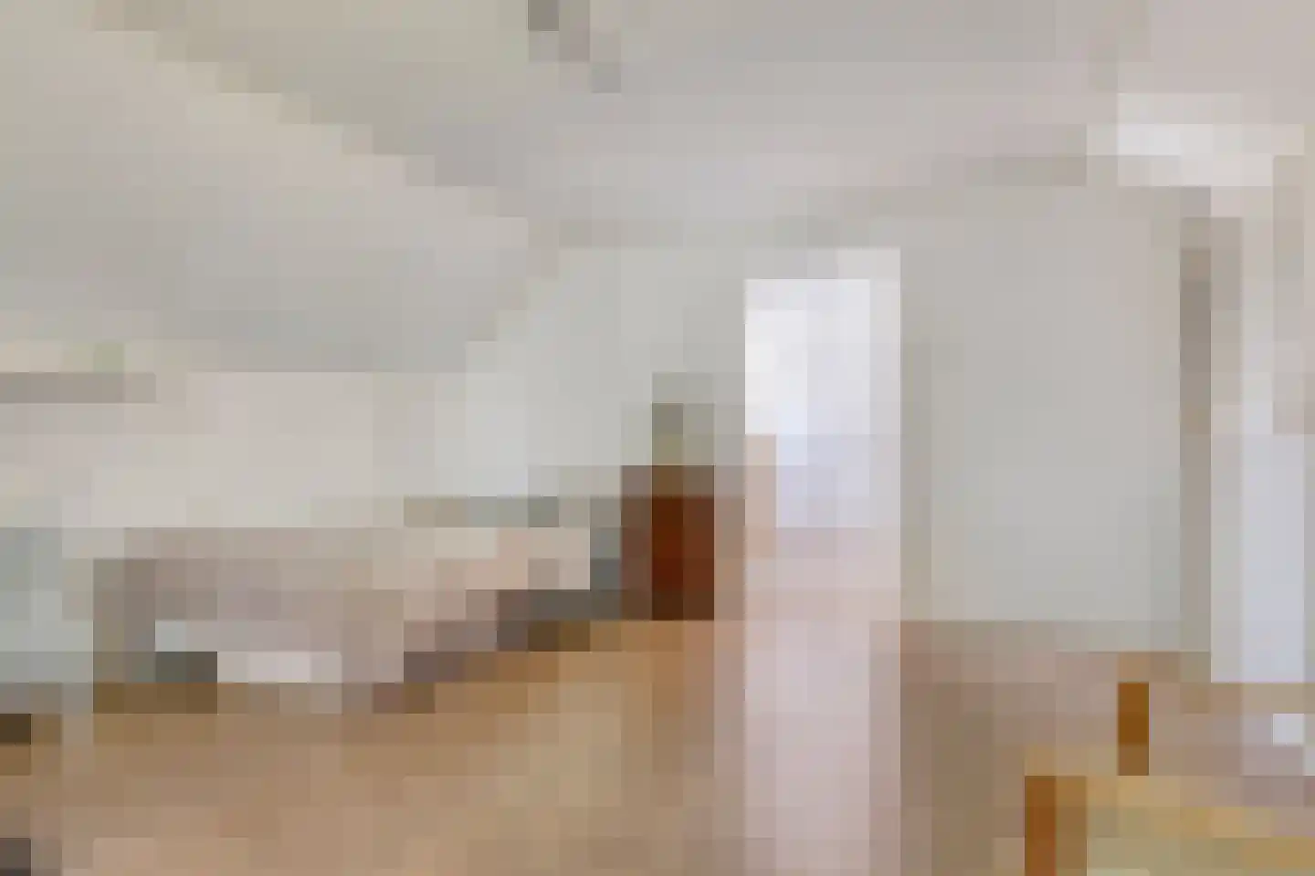 Dergmeerweg 57 Warmenhuizen thumbnail 39
