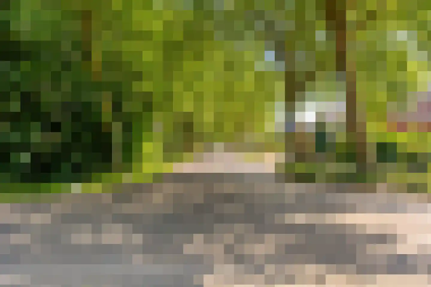Dergmeerweg 57 Warmenhuizen thumbnail 48
