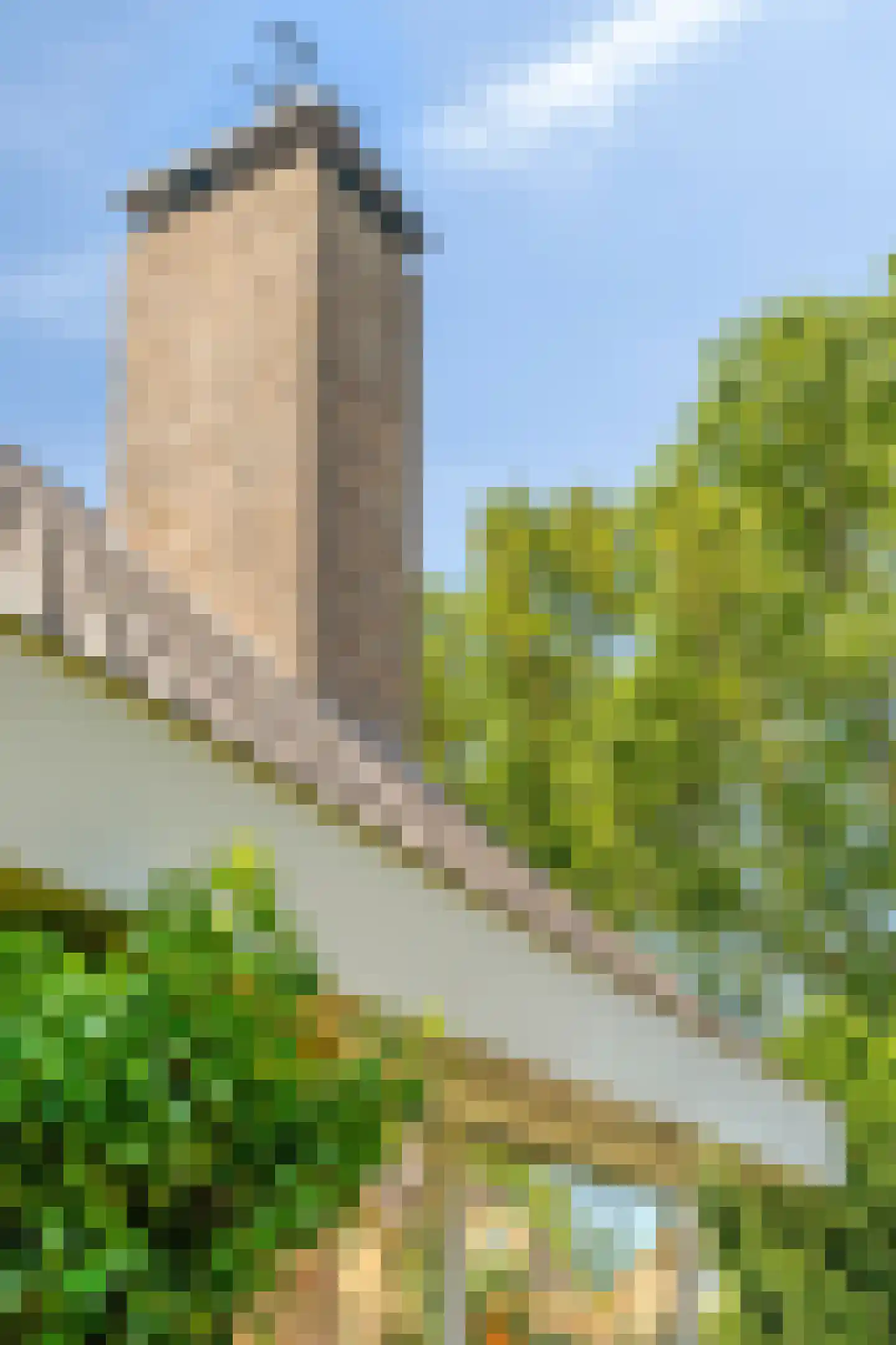 Dergmeerweg 57 Warmenhuizen thumbnail 5
