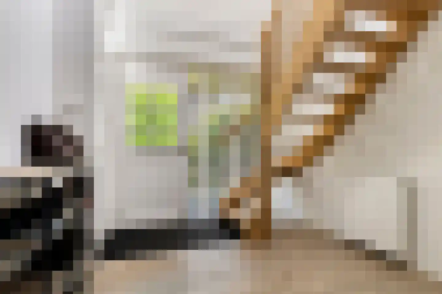Dergmeerweg 57 Warmenhuizen thumbnail 8