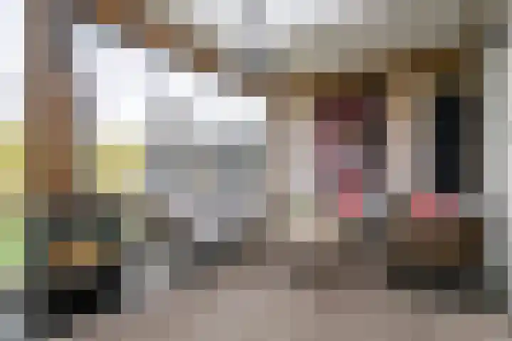 Dericks en Geldens 23 Druten thumbnail 16