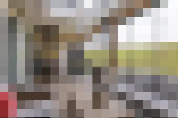 Dericks en Geldens 23 Druten thumbnail 18