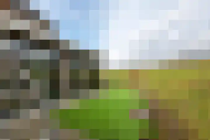 Dericks en Geldens 23 Druten thumbnail 19