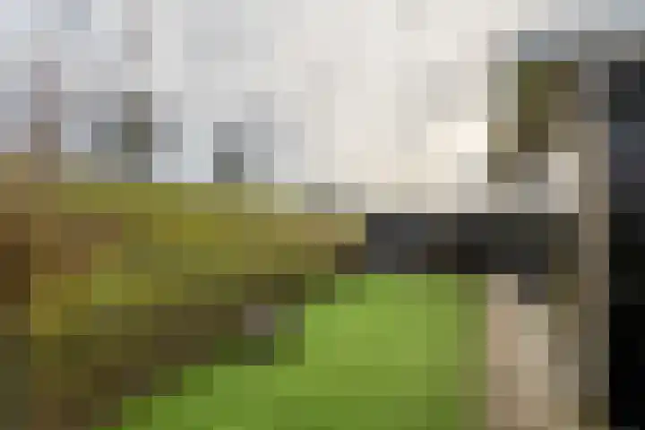 Dericks en Geldens 23 Druten thumbnail 20