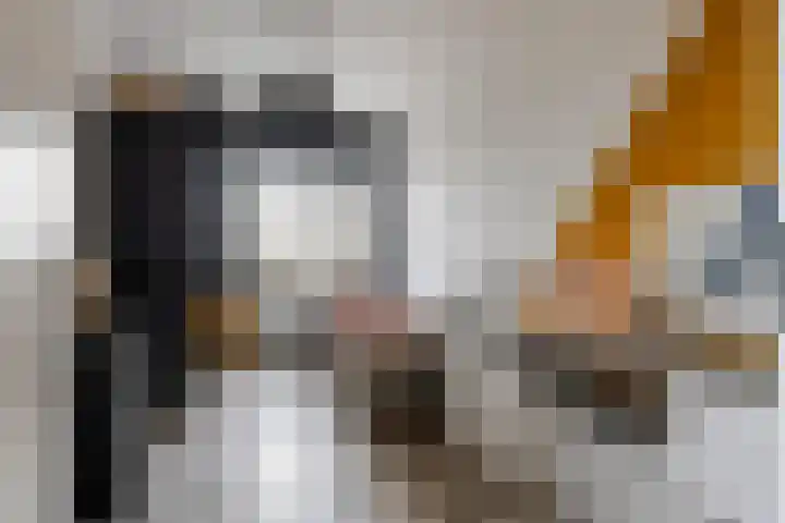 Dericks en Geldens 23 Druten thumbnail 32