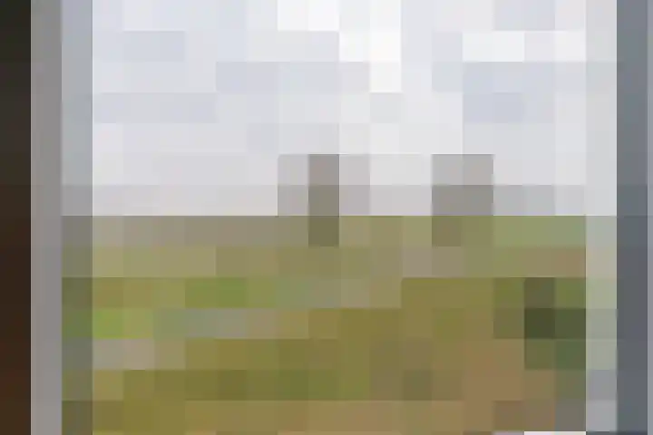 Dericks en Geldens 23 Druten thumbnail 38