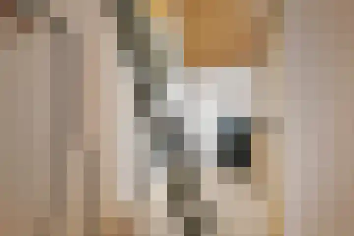 Dericks en Geldens 23 Druten thumbnail 39