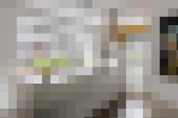 Dericks en Geldens 23 Druten thumbnail 4