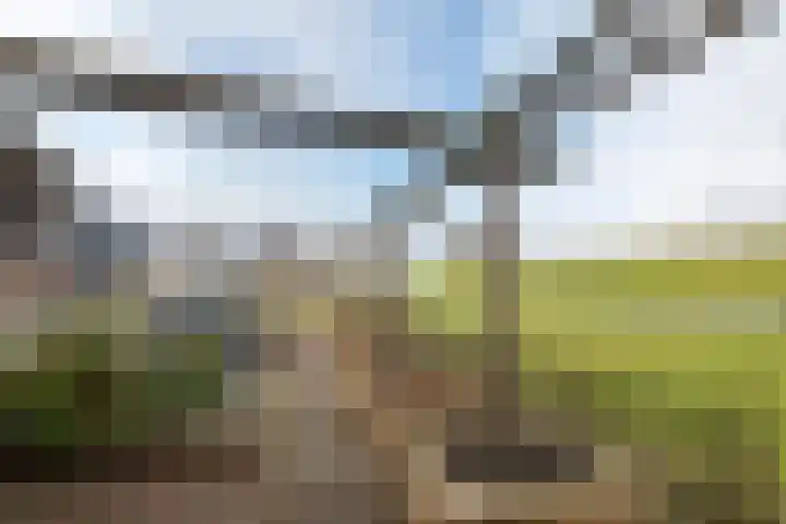 Dericks en Geldens 23 Druten thumbnail 42