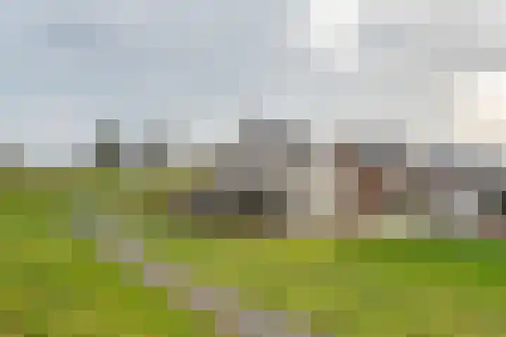 Dericks en Geldens 23 Druten thumbnail 43